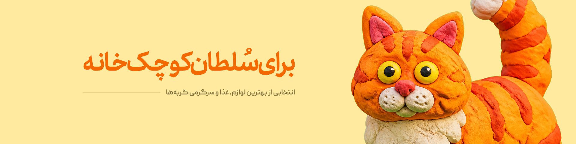 اسلاید 1 پتی